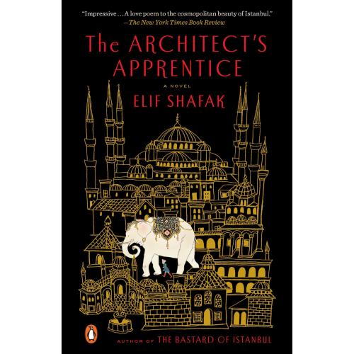 The Architects Apprentice - Full Text